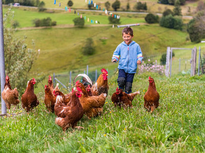 &copy; Klaus Hansen