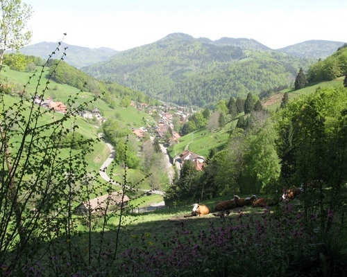 Fr&uuml;hling