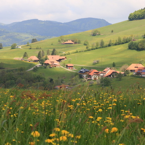 Unser Dorf Holz - Ihr Zuhause auf Zeit liegt  in herrlich ruhiger Lage, sch&ouml;ne Spazier- und Wanderwege direkt am Haus