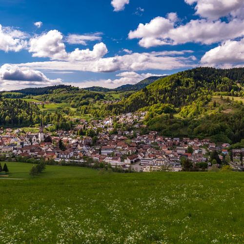 Blick &uuml;ber Sch&ouml;nau - 
