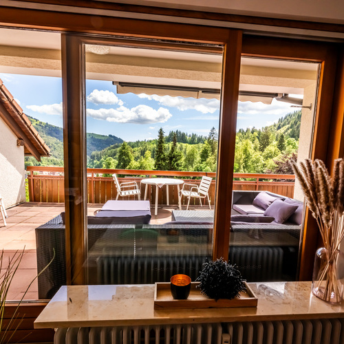 Blick auf die Terrasse - Blick auf die Terrasse -