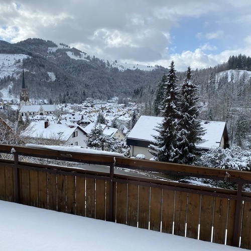 Blick von der Terrasse auf die verschneite Landschaft und Schönau - Blick von der Terrasse auf die verschneite Landschaft und Schönau -